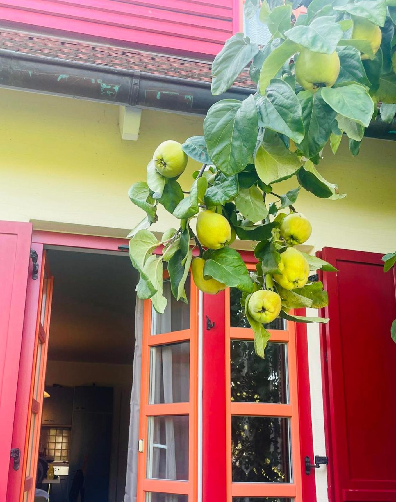 Moewenblick Bakenberg-41 Ferienwohnung Mit Terrasse, Doppelbett, Schlafsofa, Vollstaendige Komfortkueche 德兰斯克 外观 照片