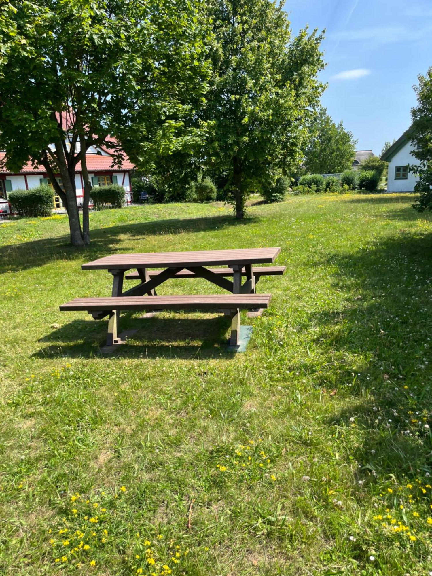 Moewenblick Bakenberg-41 Ferienwohnung Mit Terrasse, Doppelbett, Schlafsofa, Vollstaendige Komfortkueche 德兰斯克 外观 照片